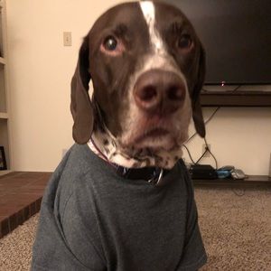 Meet your Posher, Brandy